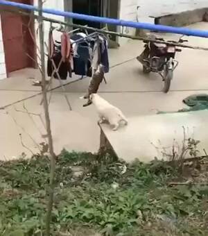 Hanging around