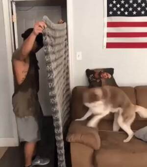 Whoa whoa where did he go