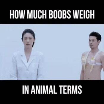 How much do the boobs weigh