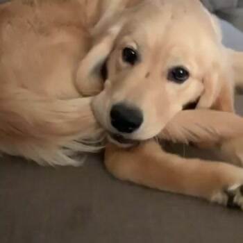 Nommm nom nom nom got my tail