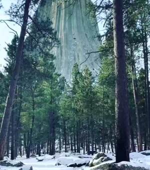 The Devils Tower  Wyoming