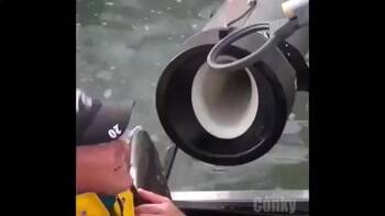 Launch the Salmon