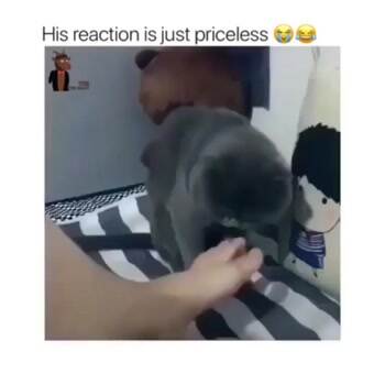 His reaction is priceless