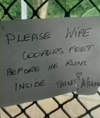 Please wipe coopers feet