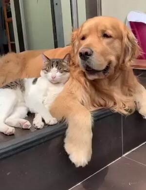 Hey get in here for a hug