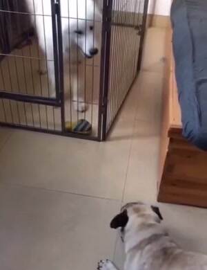 Not talking so much crap now huh