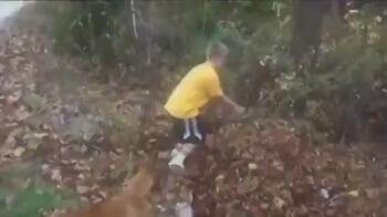 Playing in the giant leaf pile