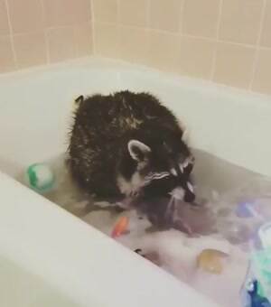 These bubbles are so fun