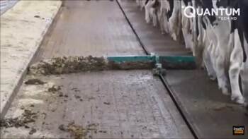 Who wants some chocolate