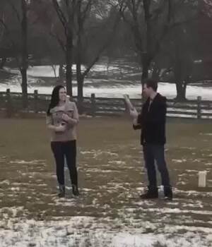 The gender reveal gone wrong