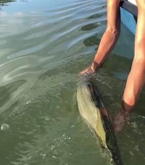 And this is how its done boys