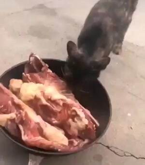 I will snatch up this one