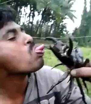 Play stupid games win stupid prizes