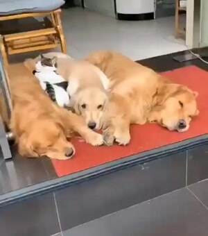 Chillin with my homies