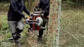 Cleaning off the tree