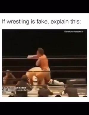 Wrestling cannot be fake