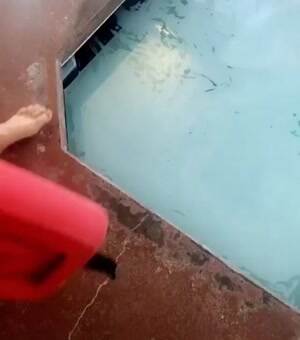 Fimly cover on the pool