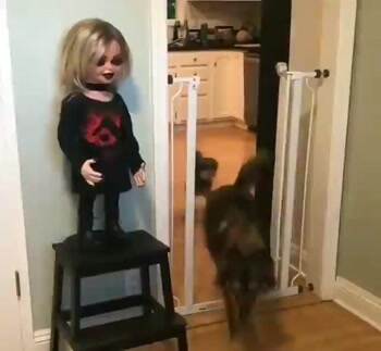 That scared the crap out of me