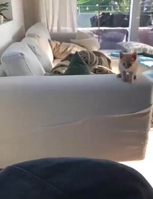 A slow motion jumper