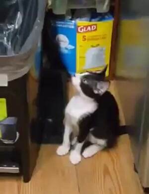 Into the bin I go