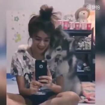 I really want in on this selfie