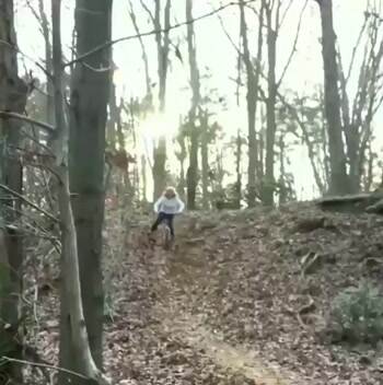Quite the adventure they went on