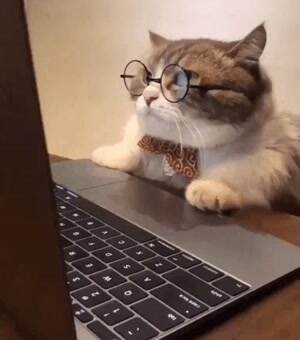 Checking out gifpit
