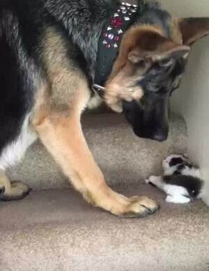 Hey I want to play