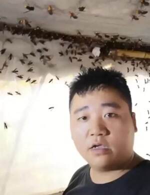 Hey check out these suckers