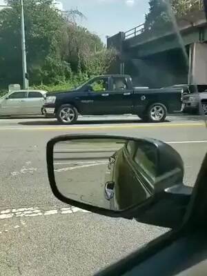 The coolest dog on the block