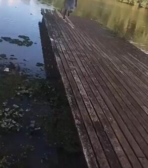 A heavy landing