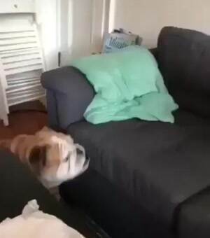 Having a hard time making it