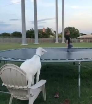 Trampoline time