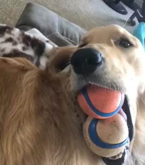 My Balls