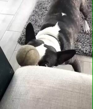 Showing off some tricks
