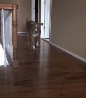 Just walking by
