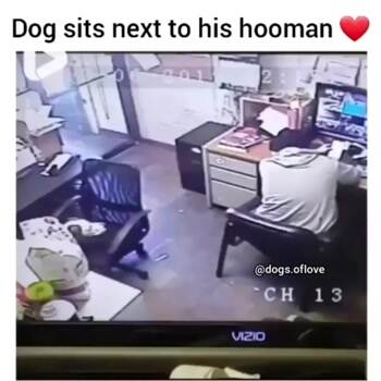I want to sit with my master
