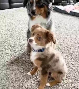 The cutest photo op