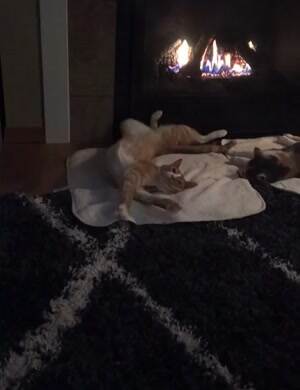 Relaxing by the fire