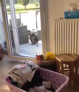 Play with me