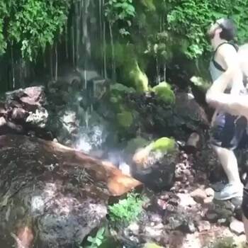 Failing in nature