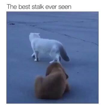 Stop sneaking up on me