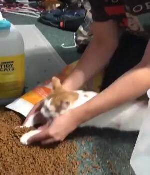 Helping scoop my food