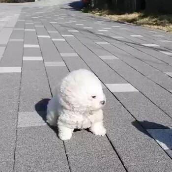 So much windy