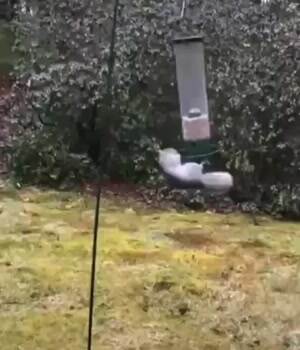 Spinning round and round