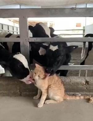 Kisses all around