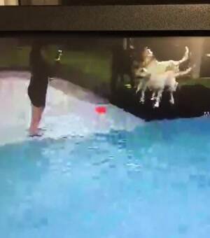 Jump kick