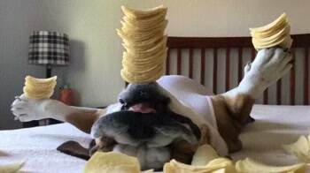 Chip Stacking