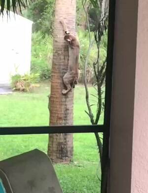 Just playing some fun games