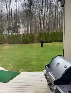 Fixed the bushes
